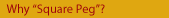 Why "Squre Peg"?