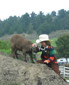 Sherrif and his Goat