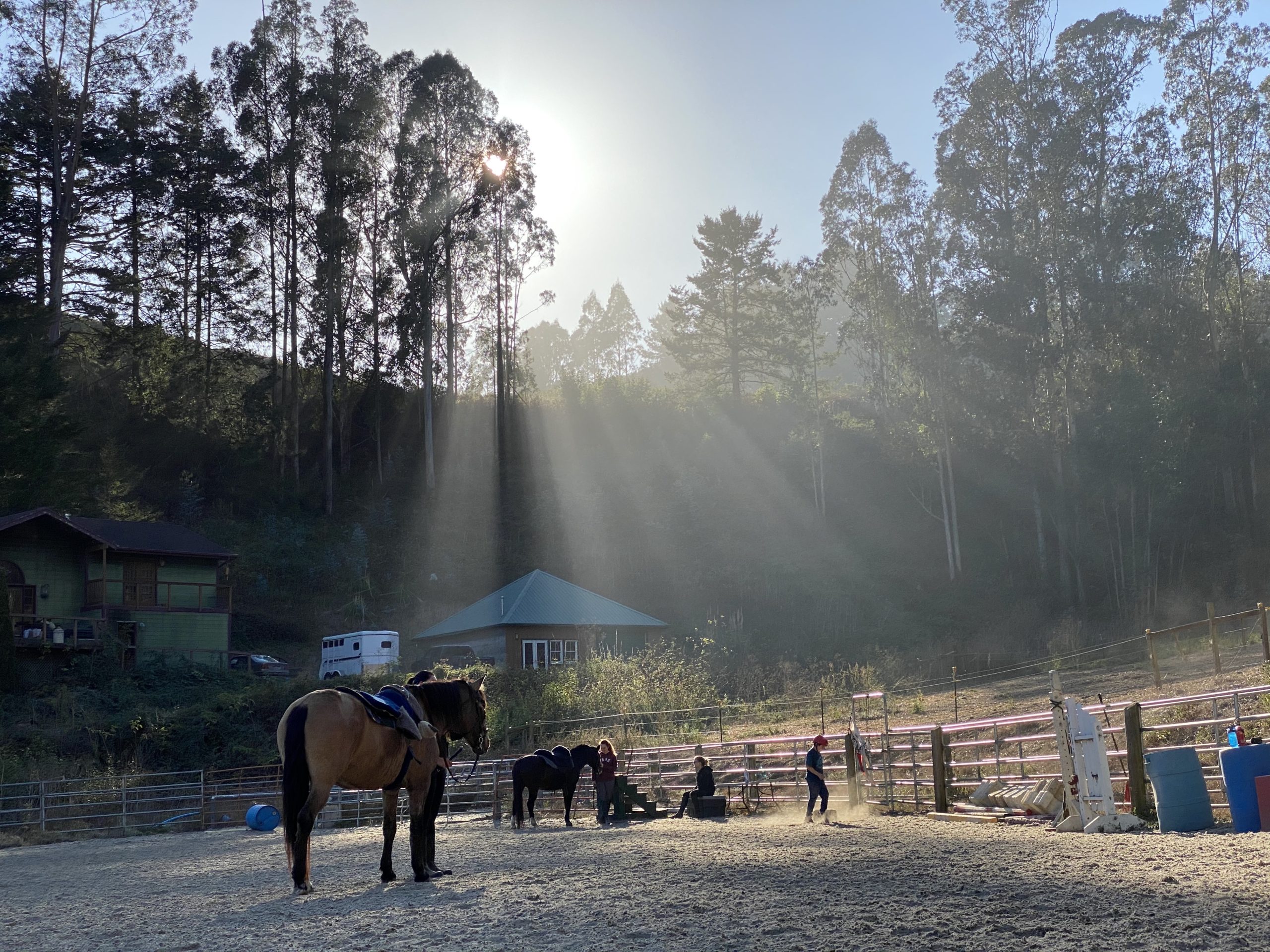 From a Hit to a Kiss A Transformation Story Square Peg Foundation